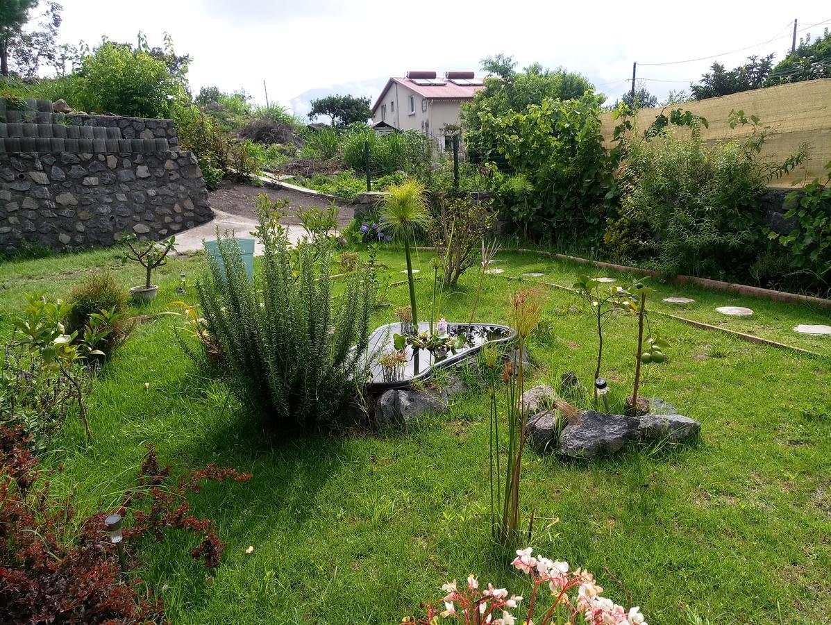 Ferienwohnung Les Jardins Creoles Cilaos Exterior foto